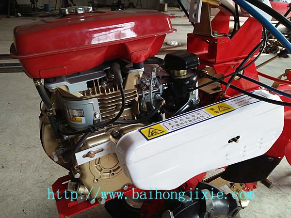 丝瓜成人污视频