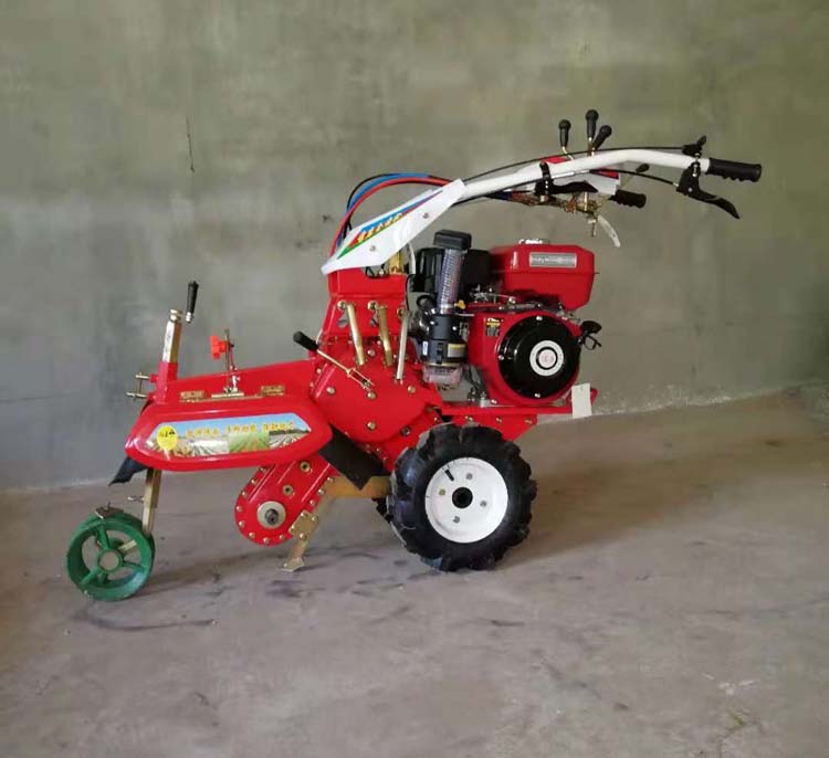 土豆開溝丝瓜视频色版APP收貨原來這麽神奇！